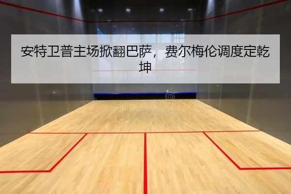 an-te-wei-pu-zhu-chang-xian-fan-ba-sa-fei-er-mei-lun-diao-du-ding-qian-kun-2-609.jpg